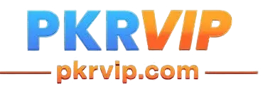 pkrvip.com